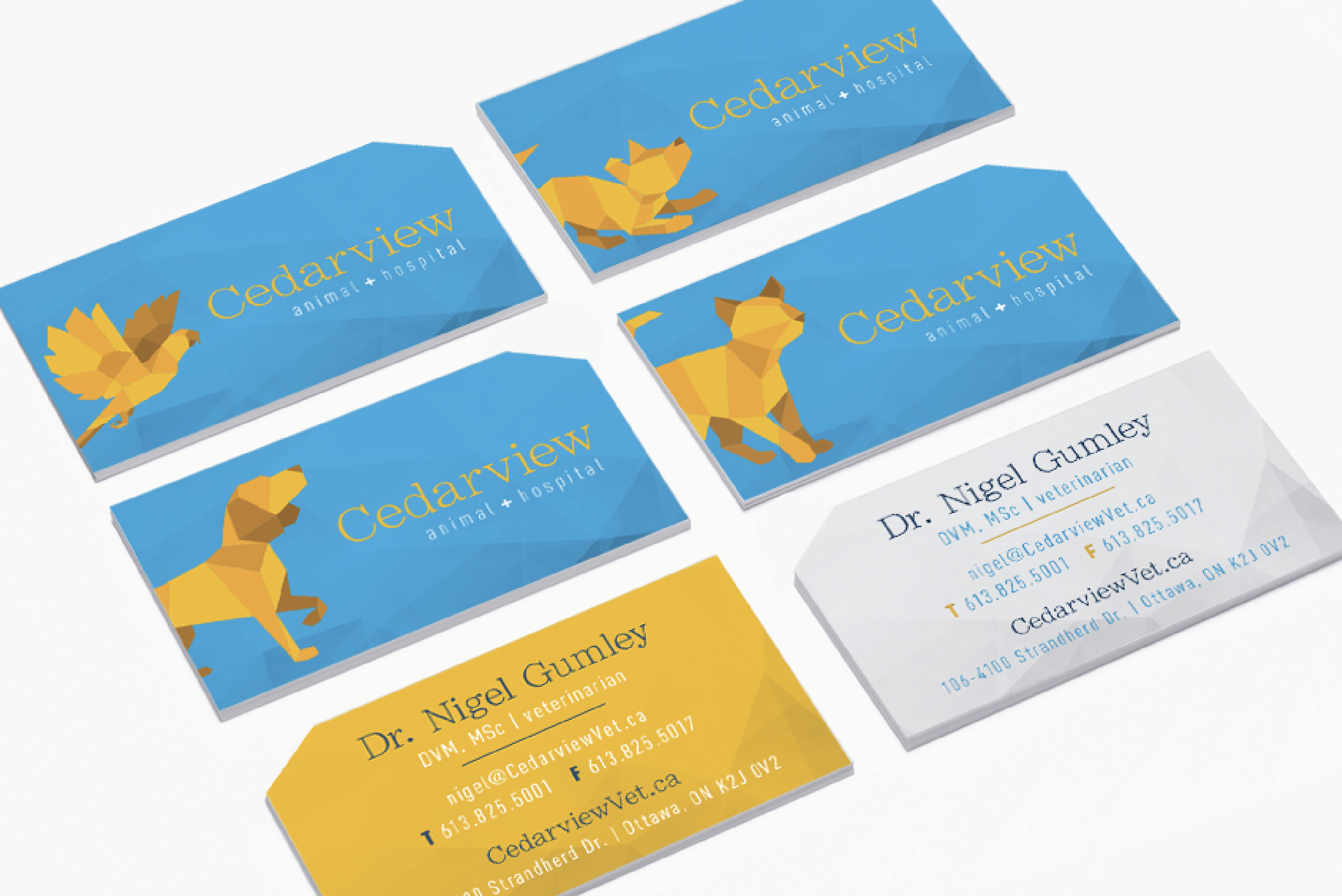 Cederview Animal Hospital business card | Brand communication tools