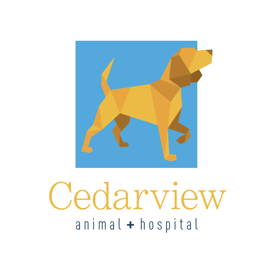 Cederview Animal Hospital Logo | Brand Design