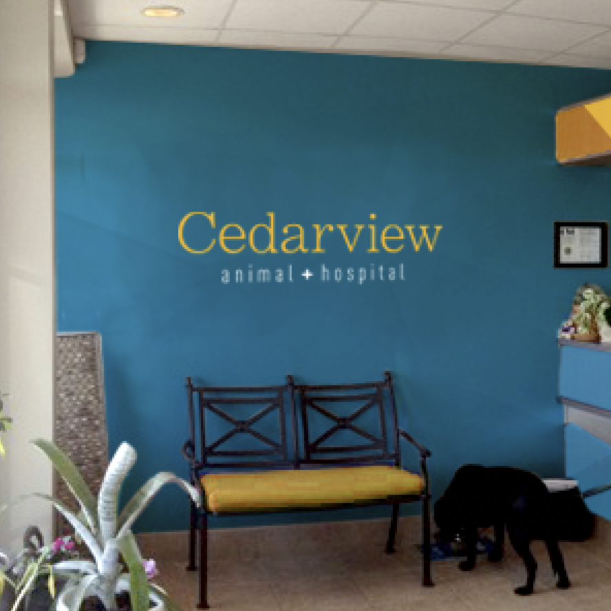 Cederview Animal Hospital | Brand Display
